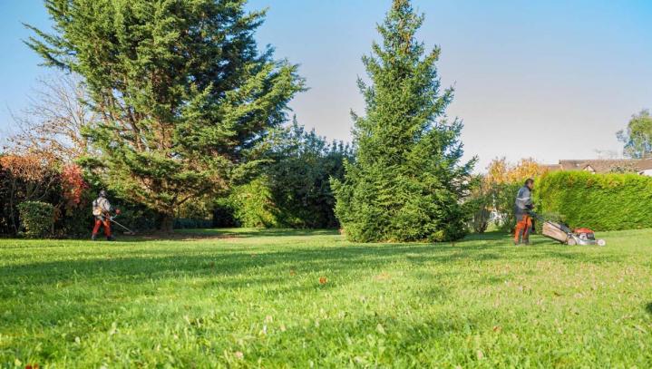 Aménagement jardin Saint Gratien