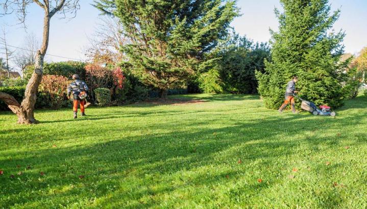 Aménagement jardin Saint Gratien