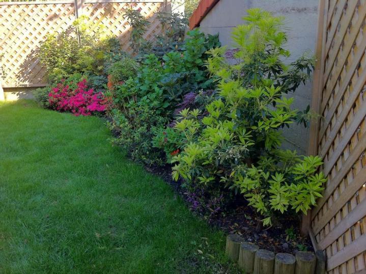 Création pavage Saint Gratien