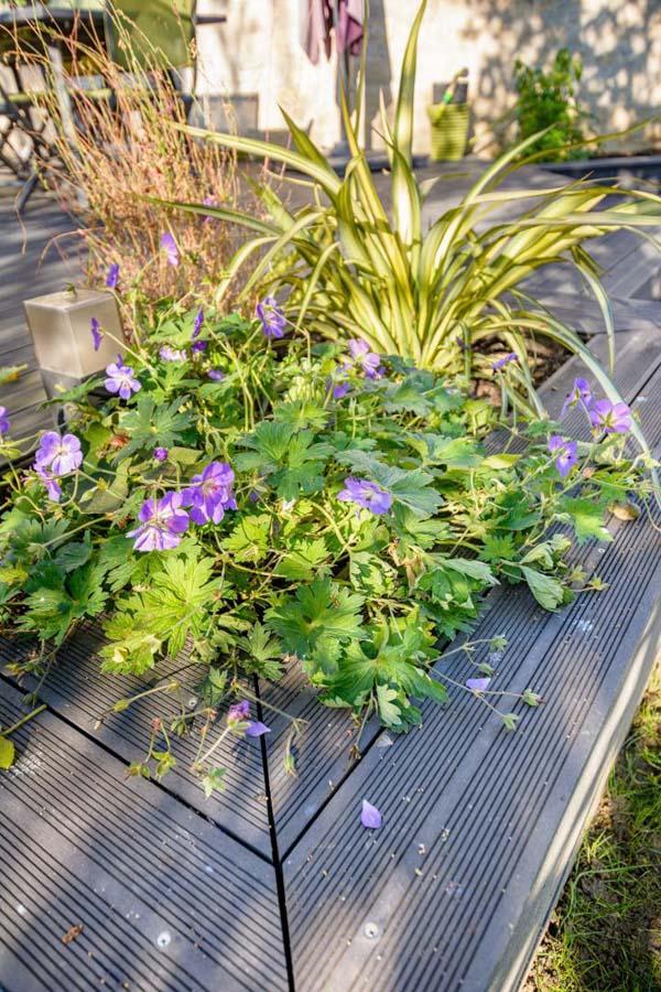 Dallage Saint Gratien