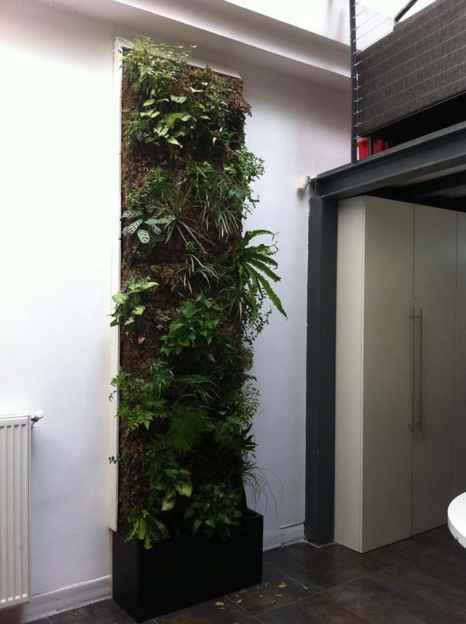 Création de jardin Saint Gratien