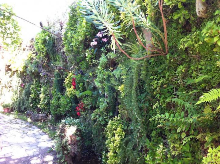 Création de jardin Saint Gratien