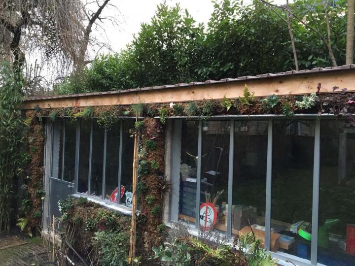 Aménagement jardin Saint Gratien