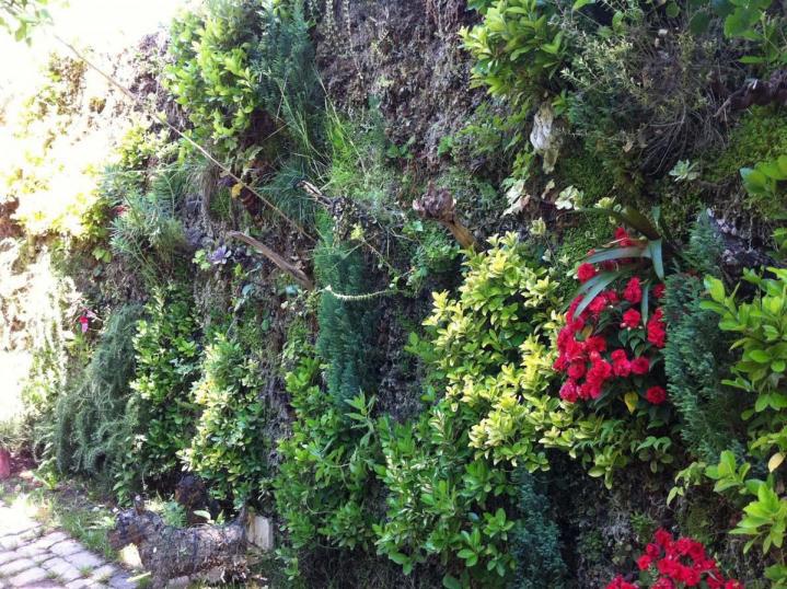 Pavage jardin Saint Gratien